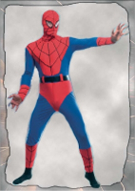 costume di carnevale BAT RAGNO