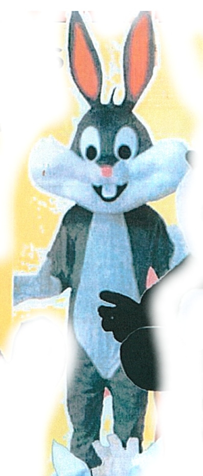 costume di carnevale BUGS BANNY