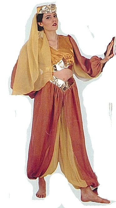 costume di carnevale ODALISCA